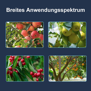Werkzeug zum Formen von Obstbäumen（40 Stück）