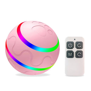 Intelligenter Haustierball
