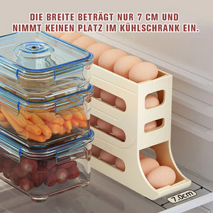 Vierlagiges Eierlagerregal