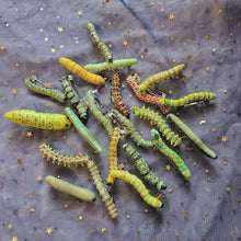 Laden Sie das Bild in den Galerie-Viewer, Handbemalte Raupen-Haarspange