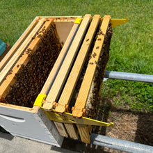 Laden Sie das Bild in den Galerie-Viewer, Praktische Bienenstock-Inspektionshalterung