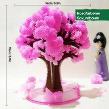 Laden Sie das Bild in den Galerie-Viewer, 3-in-1-Mini-Weihnachtsbaum mit magischem Wachstum