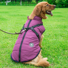 Laden Sie das Bild in den Galerie-Viewer, Wasserdichte Winterjacke für Hunde