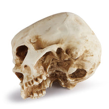 Laden Sie das Bild in den Galerie-Viewer, Pflanzgefäß in Schädelform