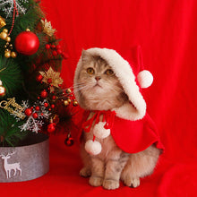 Laden Sie das Bild in den Galerie-Viewer, Katze Hund Weihnachten Cape Poncho