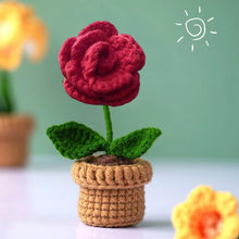 Laden Sie das Bild in den Galerie-Viewer, Handgemachte gestrickte Blumen