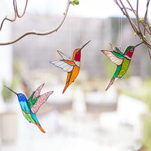 Laden Sie das Bild in den Galerie-Viewer, Kolibri Sonnenfänger Fenster