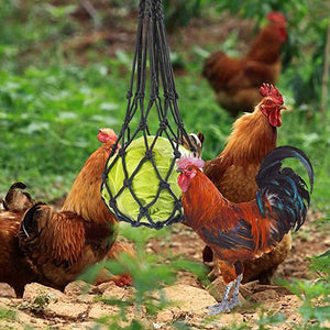 Netze für die Fütterung von Geflügel