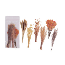 Laden Sie das Bild in den Galerie-Viewer, Getrocknete Blumen Sticker Set
