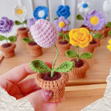 Laden Sie das Bild in den Galerie-Viewer, Handgemachte gestrickte Blumen