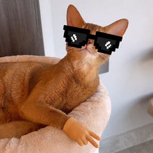 Laden Sie das Bild in den Galerie-Viewer, Lustige Katze Handschuh Spielzeug