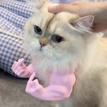 Laden Sie das Bild in den Galerie-Viewer, 3D-gedruckter Katzenhals-Arm mit Muskel