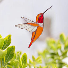 Laden Sie das Bild in den Galerie-Viewer, Kolibri Sonnenfänger Fenster