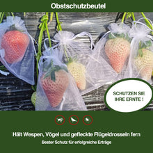 Laden Sie das Bild in den Galerie-Viewer, Obstschutzbeutel (100 Stück)