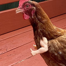 Laden Sie das Bild in den Galerie-Viewer, Dekorative Hühnerarme, lustige Tierkostüme