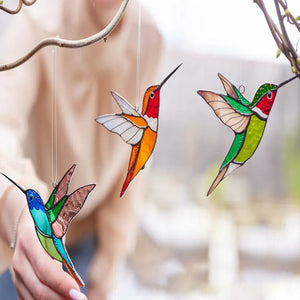 Kolibri Sonnenfänger Fenster