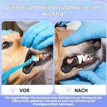 Laden Sie das Bild in den Galerie-Viewer, Mini-Zahnbürste für Katzen
