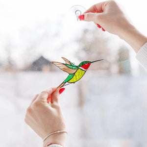 Kolibri Sonnenfänger Fenster