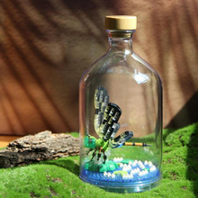 Laden Sie das Bild in den Galerie-Viewer, Mini-Bausteine zur Insektensammlung