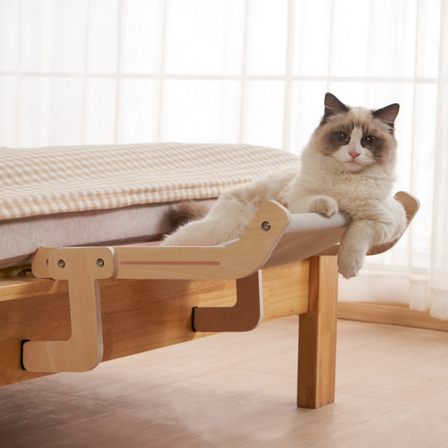 Katze hängt Bett am Fenster