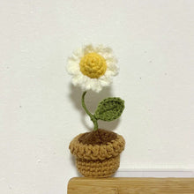 Laden Sie das Bild in den Galerie-Viewer, Handgemachte gestrickte Blumen