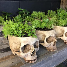 Laden Sie das Bild in den Galerie-Viewer, Pflanzgefäß in Schädelform