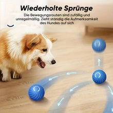 Laden Sie das Bild in den Galerie-Viewer, Elektrischer rollender Haustier-Spielzeugball