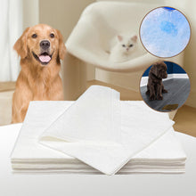 Laden Sie das Bild in den Galerie-Viewer, Hundeurin absorbierendes Papier🐶