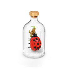 Laden Sie das Bild in den Galerie-Viewer, Mini-Bausteine zur Insektensammlung