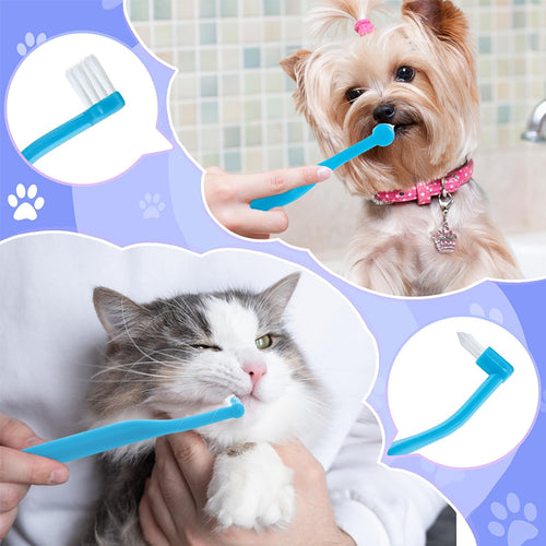 Mini-Zahnbürste für Katzen