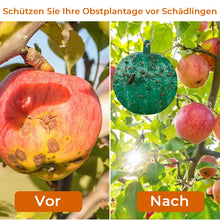 Laden Sie das Bild in den Galerie-Viewer, Hängende klebrige Fruchtfliegenfalle zum Schutz der Umwelt