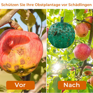 Hängende klebrige Fruchtfliegenfalle zum Schutz der Umwelt