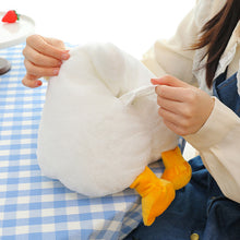 Laden Sie das Bild in den Galerie-Viewer, Entenfurz-Papierschachtel