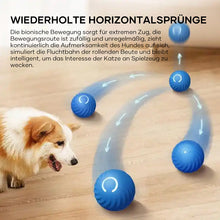 Laden Sie das Bild in den Galerie-Viewer, Automatischer intelligenter Hundeball🐶