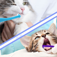 Laden Sie das Bild in den Galerie-Viewer, Mini-Zahnbürste für Katzen