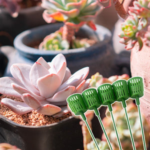Blumenstraußhalter für Sukkulenten