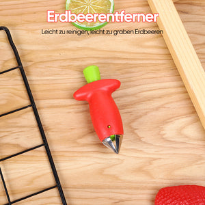 Erdbeerkern Entferner