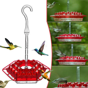 Kolibri-Futterspender zum Aufhängen im Freien