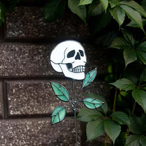 Frühes Halloween💀Totenkopf-Buntglaspflanze