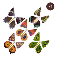 Laden Sie das Bild in den Galerie-Viewer, Hübsches Schmetterling Spielzeug, 5/ 10 Stück