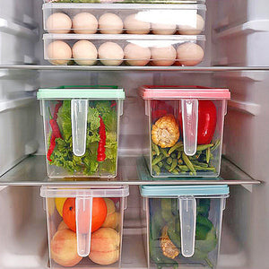 Kühlschrank-Aufbewahrungsbox mit Griff