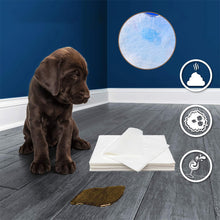Laden Sie das Bild in den Galerie-Viewer, Hundeurin absorbierendes Papier🐶