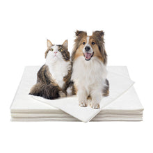 Laden Sie das Bild in den Galerie-Viewer, Hundeurin absorbierendes Papier🐶