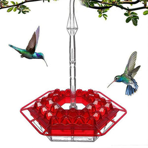 Kolibri-Futterspender zum Aufhängen im Freien