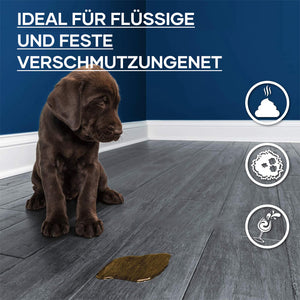 Hundeurin absorbierendes Papier🐶