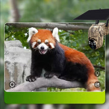 Laden Sie das Bild in den Galerie-Viewer, Solarbetriebene Tarnkamera