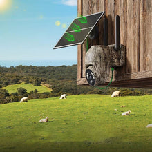 Laden Sie das Bild in den Galerie-Viewer, Solarbetriebene Tarnkamera