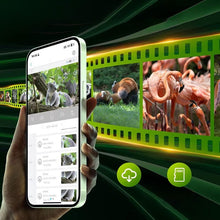 Laden Sie das Bild in den Galerie-Viewer, Solarbetriebene Tarnkamera