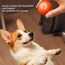 Laden Sie das Bild in den Galerie-Viewer, Automatischer intelligenter Hundeball🐶
