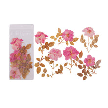 Laden Sie das Bild in den Galerie-Viewer, Getrocknete Blumen Sticker Set